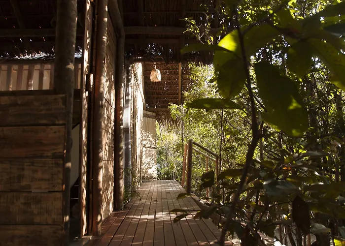 Na Floresta Glamping