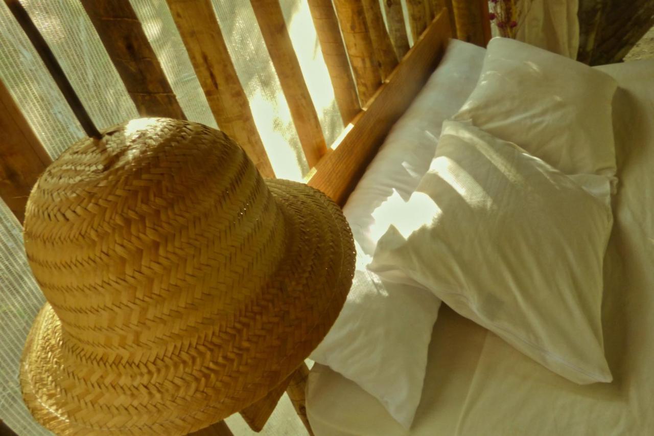 Na Floresta Glamping * Porto de Pedras