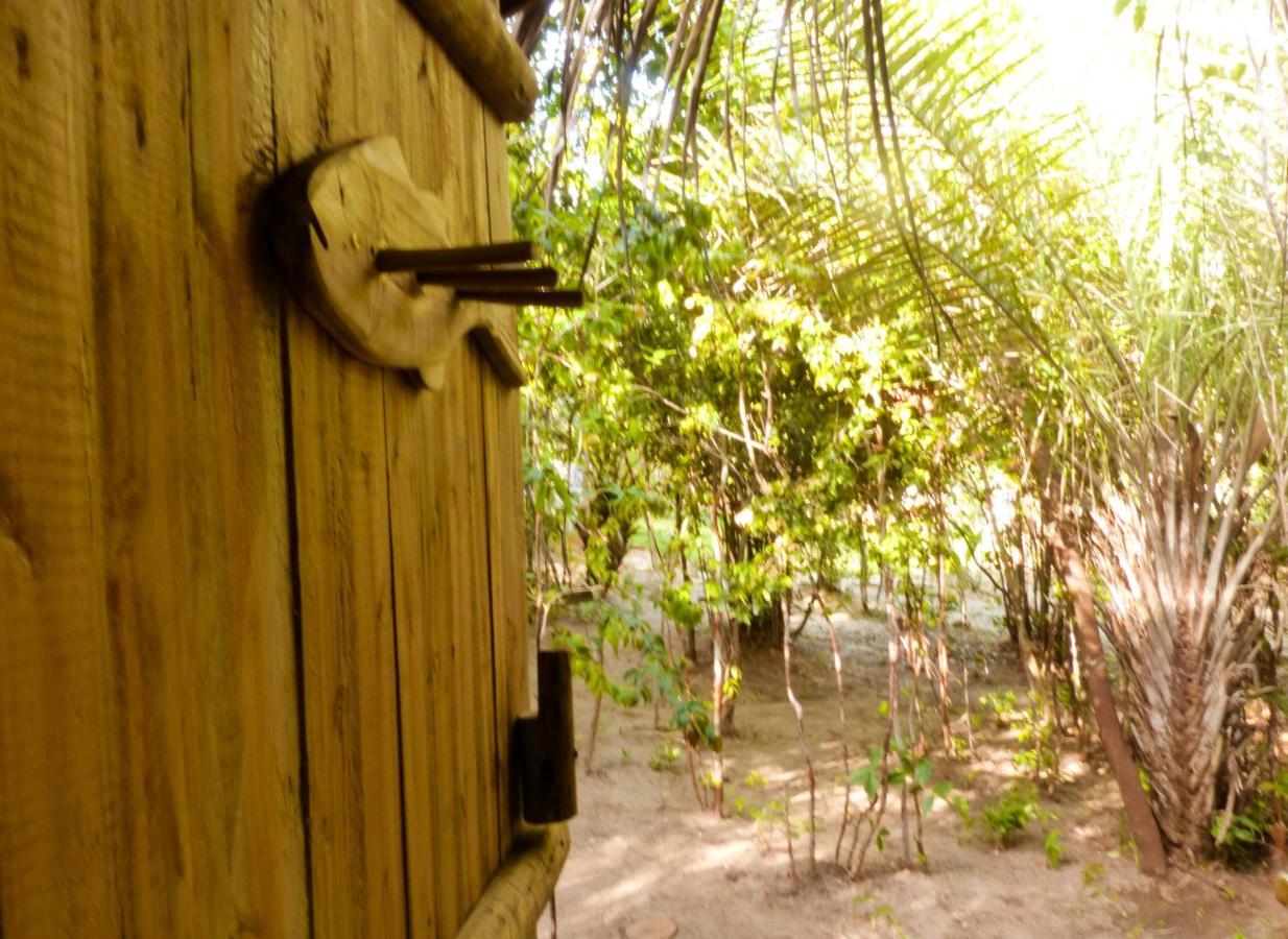 Na Floresta Glamping Porto de Pedras