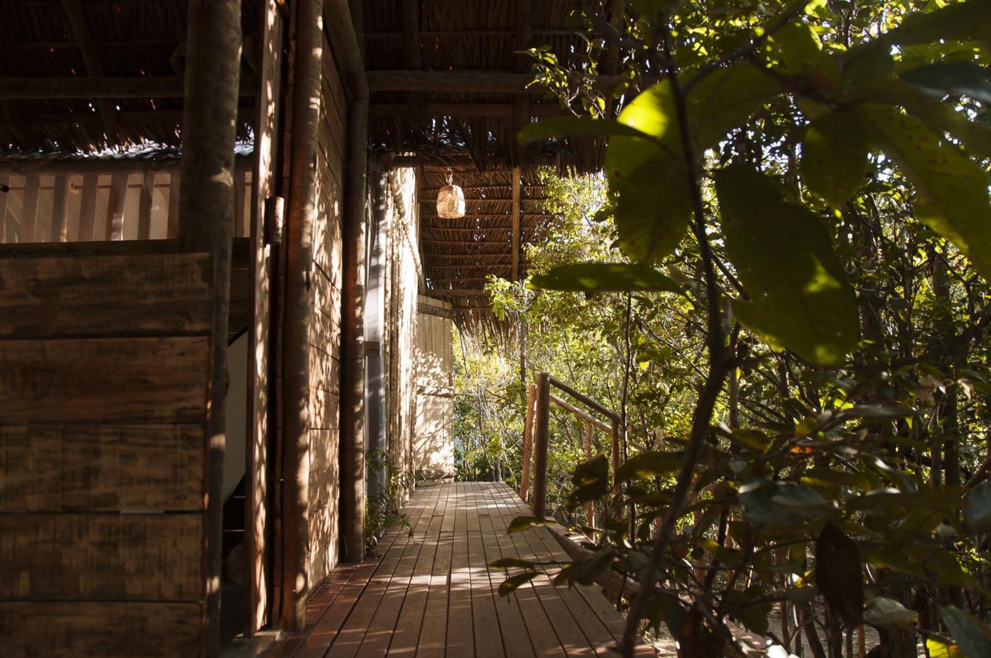 Na Floresta Glamping *