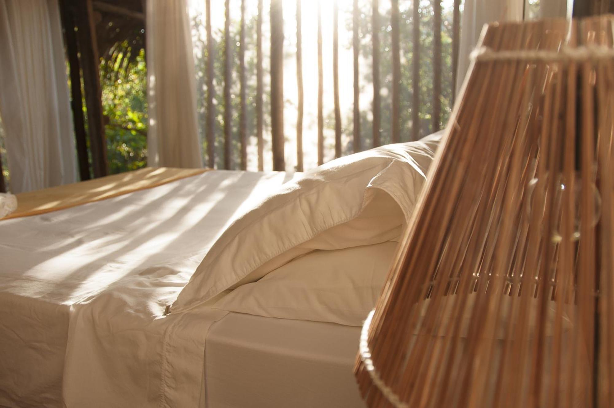 Na Floresta Glamping * Porto de Pedras