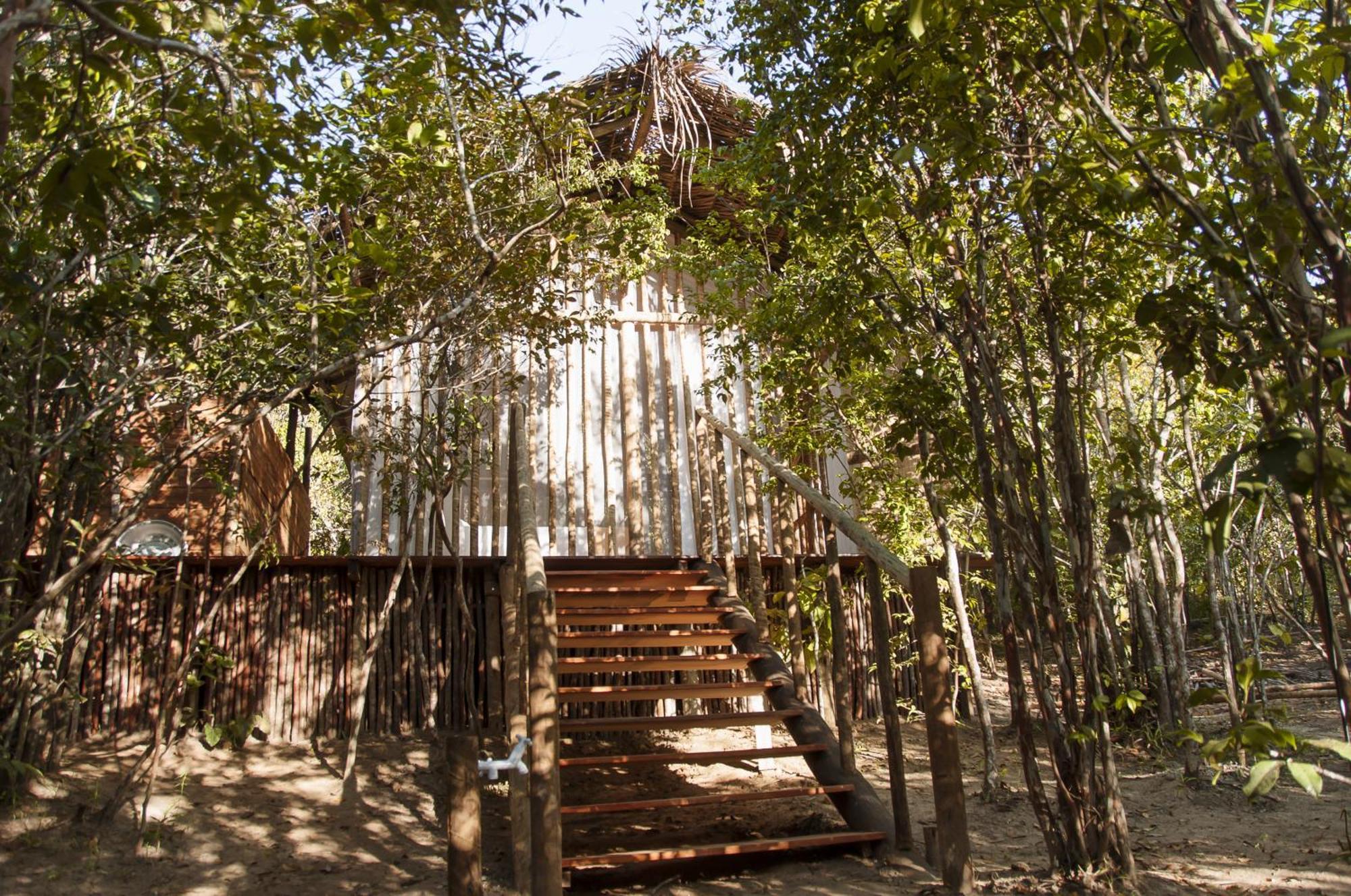 Na Floresta Glamping Luxury tent Porto de Pedras